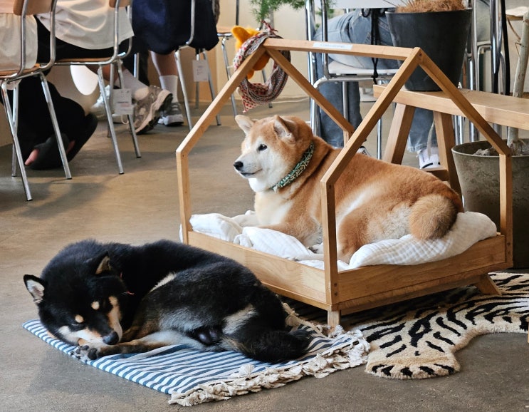  3박 4일 부산여행(2일차)