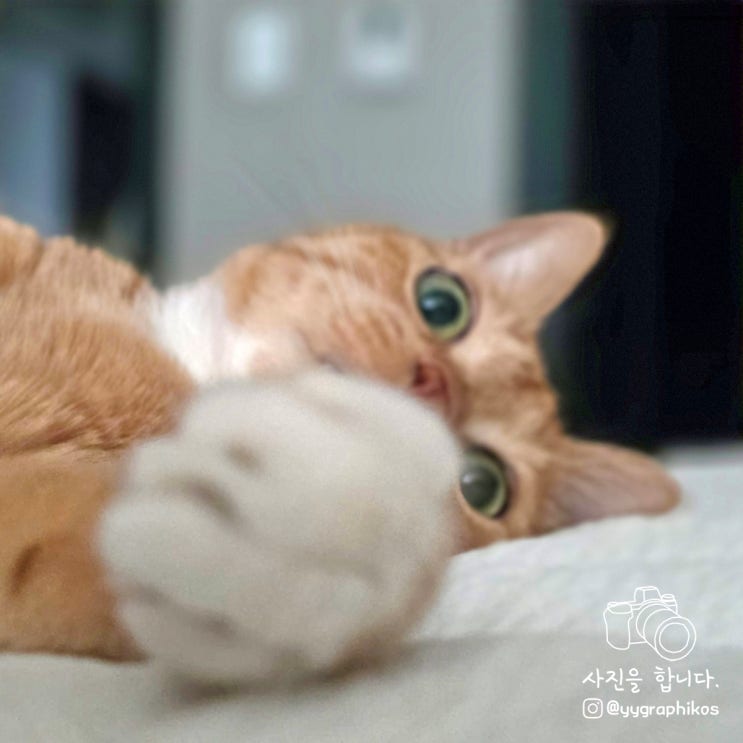  8주 차 : 모두 건강 조심하세요...