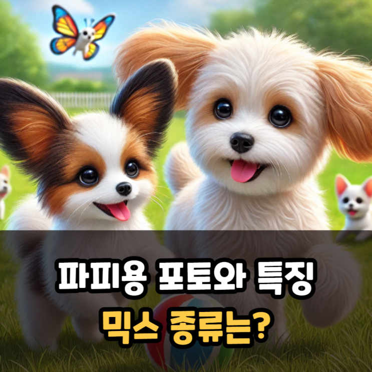  파피용 포토와 특징, 믹스 종류는?