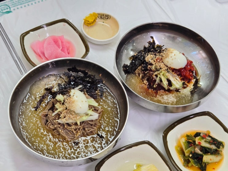 고성맛집 고성막국수 건봉막국수 회막국수 후기 고성맛집 고성막국수 건봉막국수 회막국수 후기