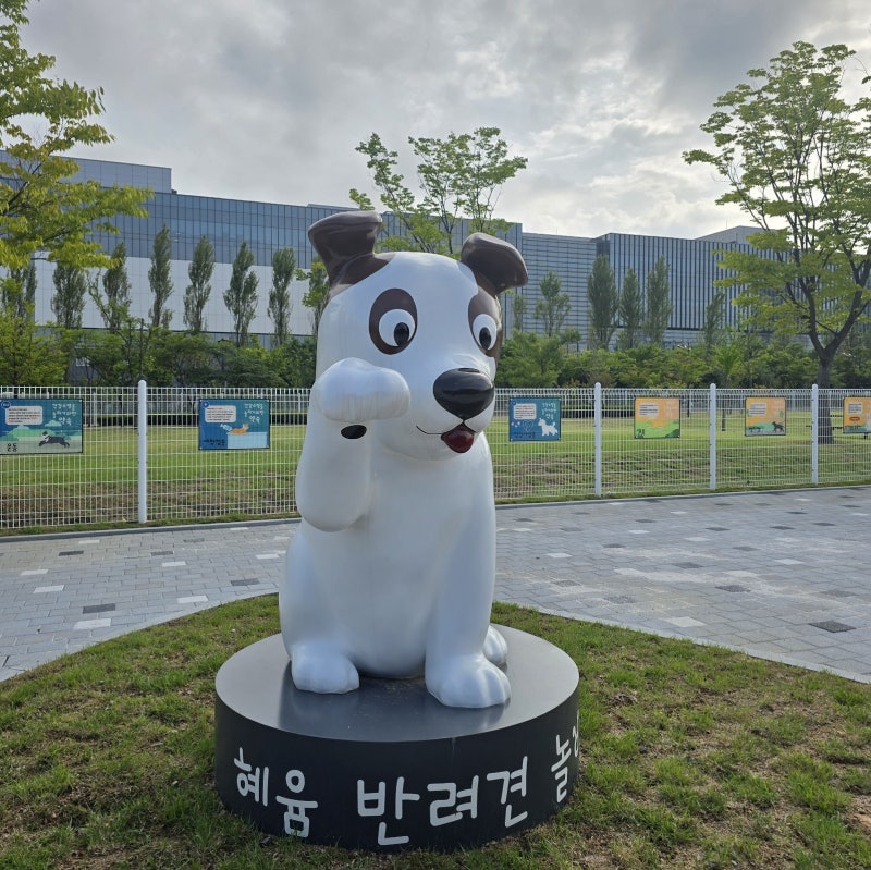 사진 2
