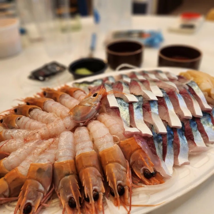  제주 서쪽 어른음식 #논짓물식당 #경성수산