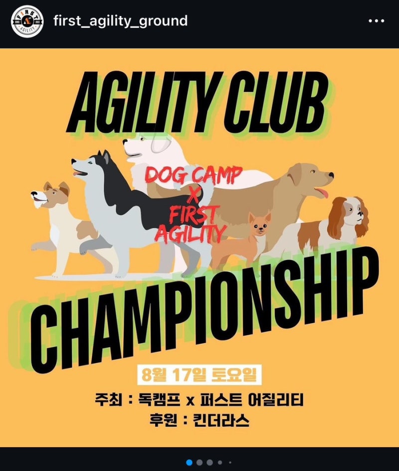사진 4