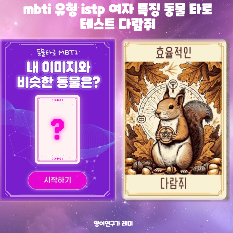 mbti 유형 istp 여자 특징 동물 타로 테스트 다람쥐 mbti 유형 istp 여자 특징 동물 타로 테스트 다람쥐