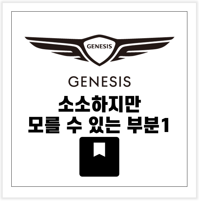 제네시스GV80 페이스리프트 : 도어손잡이/빌트인캠끄기/하이패스카드위치/안전밸트고정클립 ....