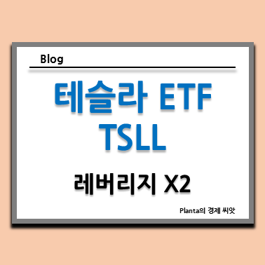  TSLL 주가 전망 : 테슬라 2배 레버리지 ETF 배당