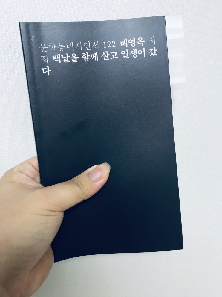  백날을 함께 살고 일생이 갔다(배영옥, 문학동네)