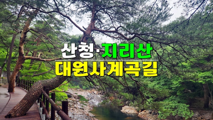 경남 산청여행 가볼만한곳 · 지리산 대원사계곡길 트레킹 코스 · 산청 대원사 유평계곡 주차장 경남 산청여행 가볼만한곳 · 지리산 대원사계곡길 트레킹 코스 · 산청 대원사 유평계곡 주차장