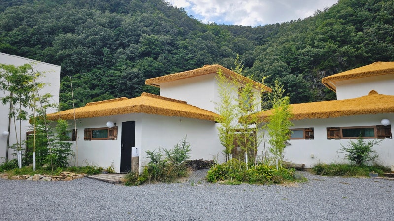 사진 2