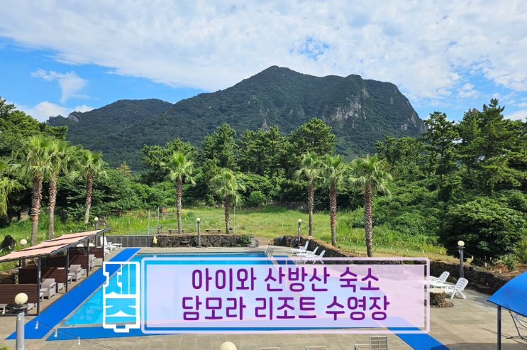  제주도 가성비숙소 아이와 산방산숙소 담모라리조트 수영장