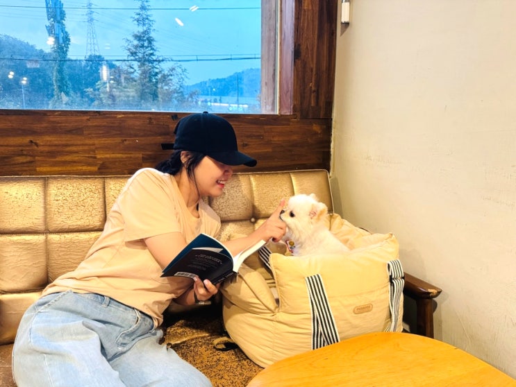  서울근교 드라이브 의왕 애견동반 [카페모테이] & 백운호수 밤산책 나들이 후기