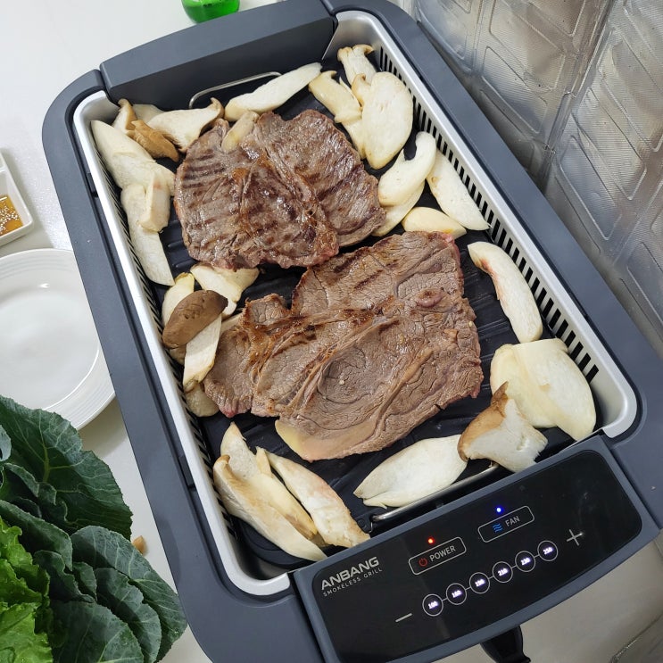 안방그릴 시즌5 8개월 사용기 장단점 안방그릴 시즌5 8개월 사용기 장단점