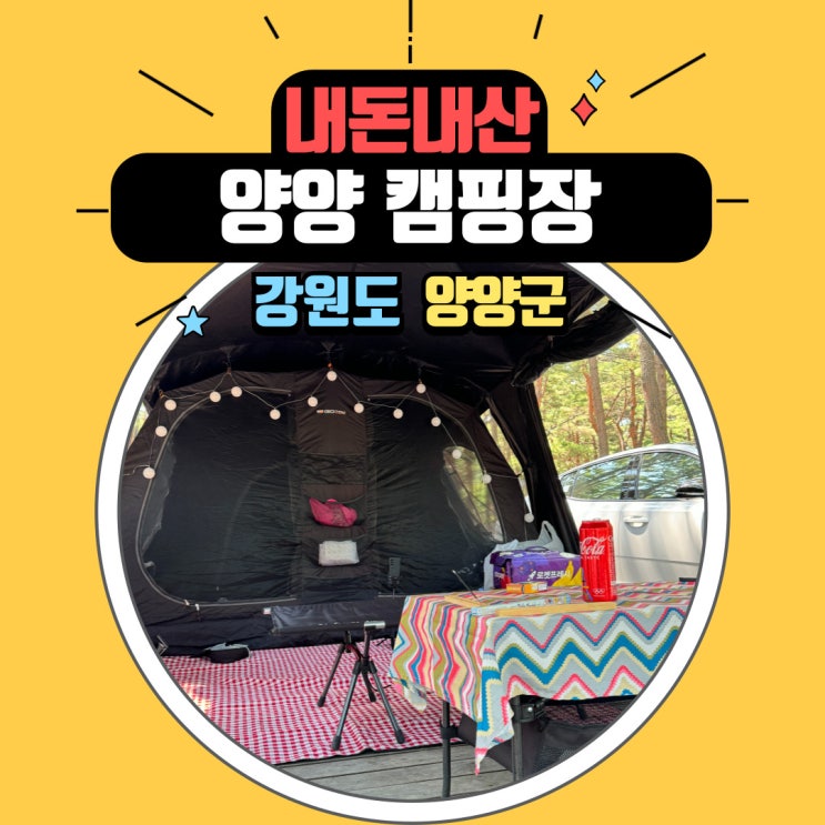  애견동반가능 양양오토캠핑장 캠핑음식 추천, 송전해수욕장에서 조개잡기. 노무라입깃해파리 주의
