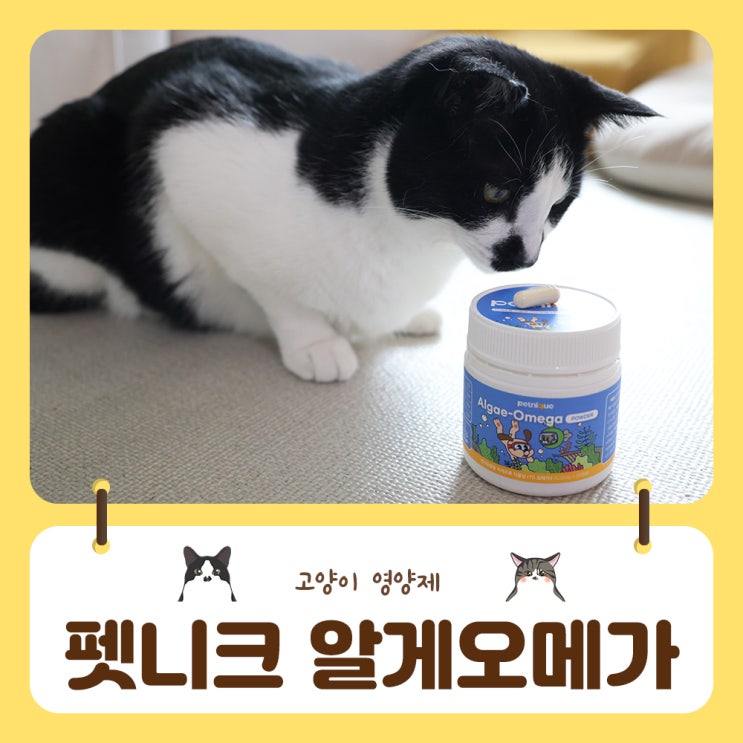  산패걱정없는 펫니크 알게오메가로 고양이건강지켜요