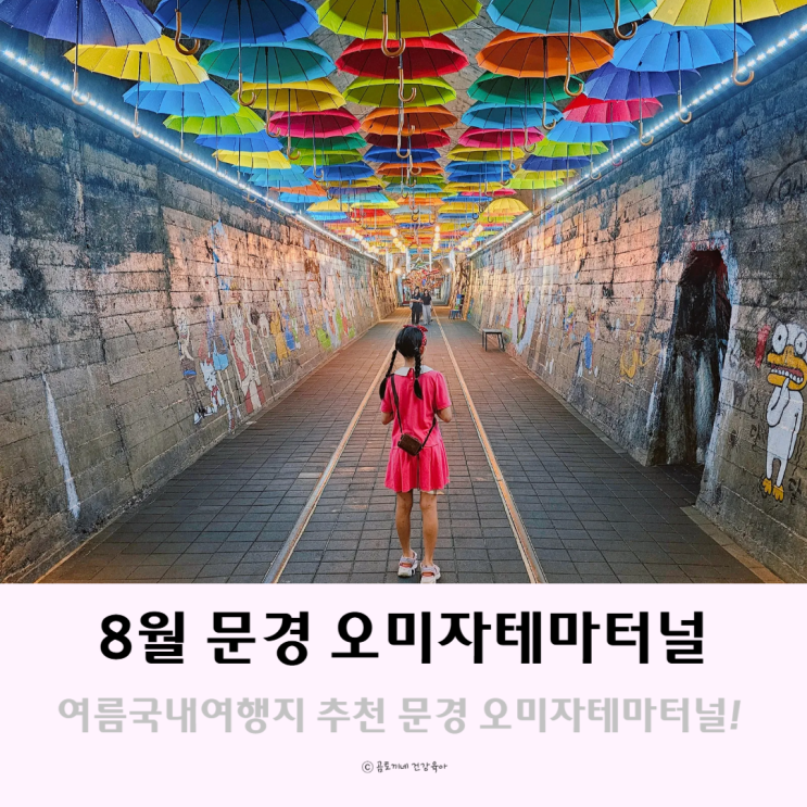8월에 가볼만한 곳 문경 오미자테마터널 여름국내여행지 추천 8월에 가볼만한 곳 문경 오미자테마터널 여름국내여행지 추천