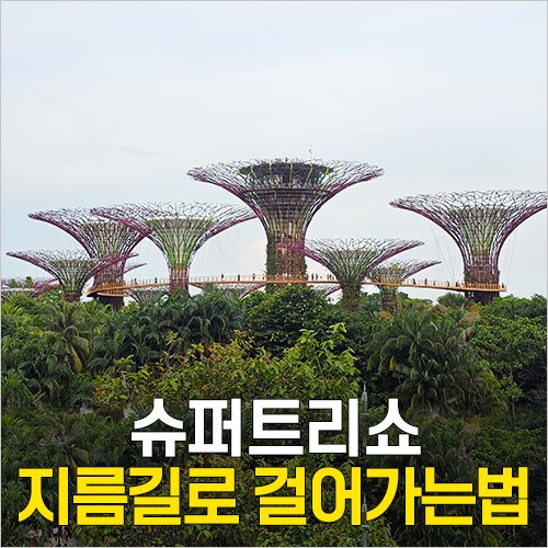  싱가포르 마리나베이샌즈몰에서 가든스바이더베이 슈퍼트리쇼 가는법 지름길로 가는길 & 전망대