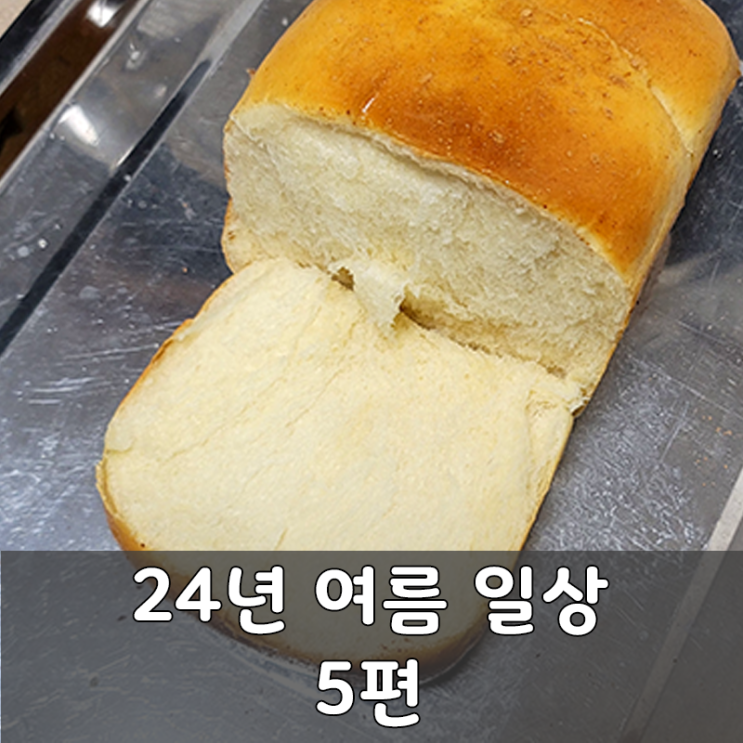 24년 여름 일상 5편 홈베이킹, 홈플러스 피스타치오, 세면대 팝업 고장