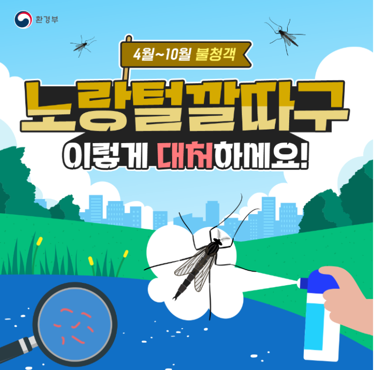  불청객해충 - 노랑털깔따구 이렇게 대처하세요!