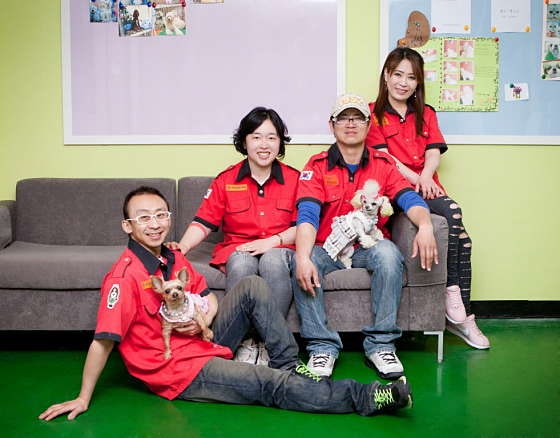 사진 3