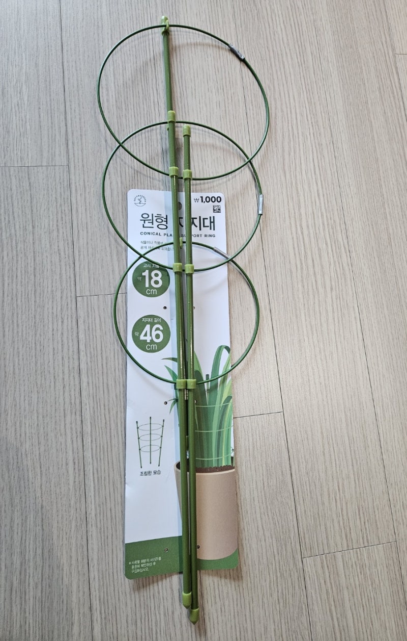 다이소 원형지지대로 식물세우기