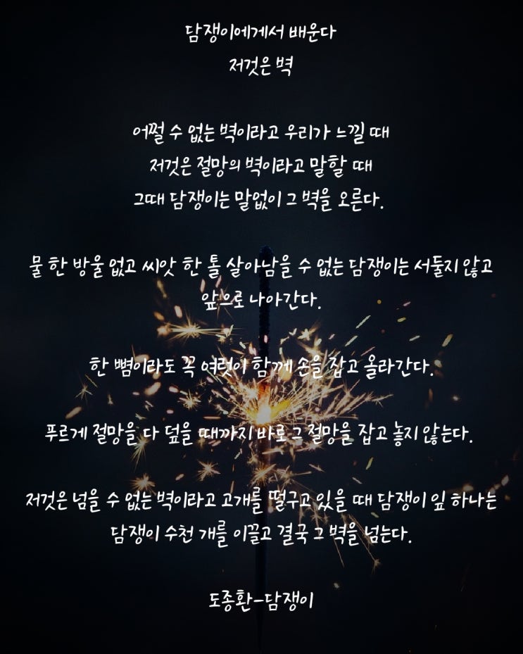  짧고 좋은 글귀 담쟁이 8.18todolist