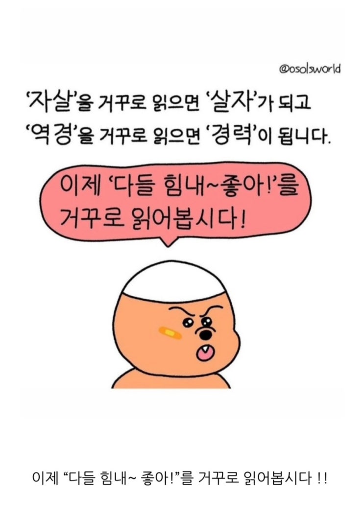  [일상] 로꾸거 로꾸거 로꾸거 말해말
