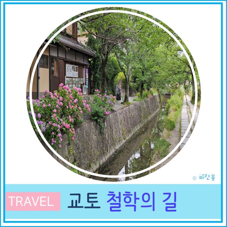  오사카 근교 여행 교토 산책하기 좋은 곳 추천 철학의 길