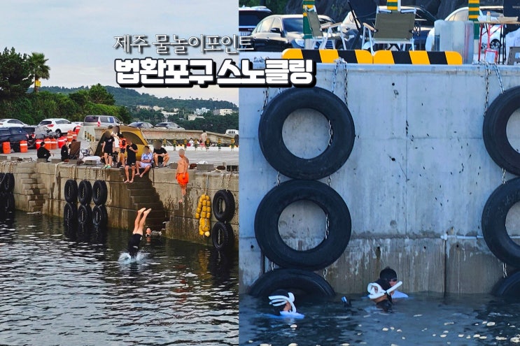  한국 스노클링 명소 국내 제주도 법환포구 스노쿨링 포인트