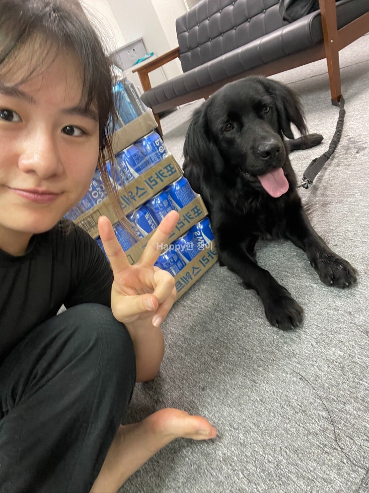  [8월 1주차] 도장에 놀러 온 남산이