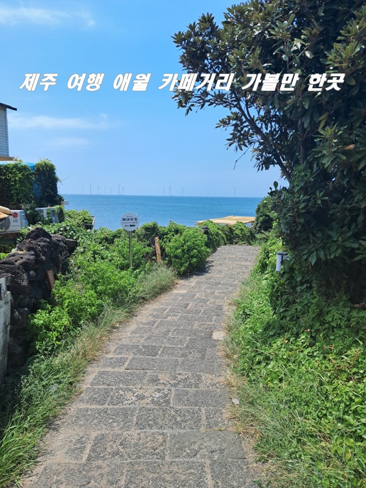  3박4일 제주 여행 제주 애월 카페거리 가볼만 한곳
