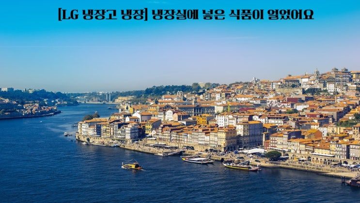  LG 냉장고 냉장 냉장실에 넣은 식품이 얼었어요