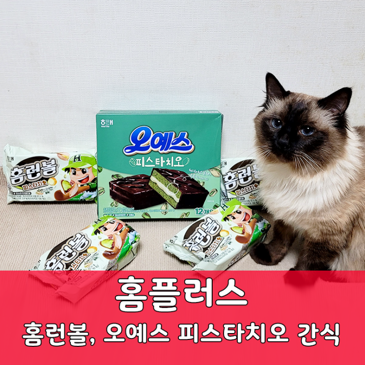  홈플러스 신상 홈런볼 피스타치오와 오예스 피스타치오 리뷰