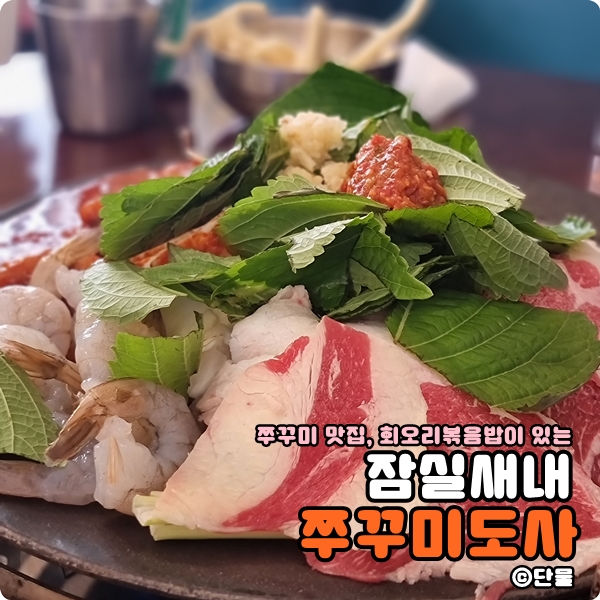  [서울/잠실] 쭈꾸미 맛집, 쭈꾸미 도사 (내돈내산후기, 가격, 맛)