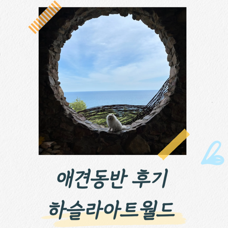  하슬라아트월드 애견동반 가능한 정동진 여행코스