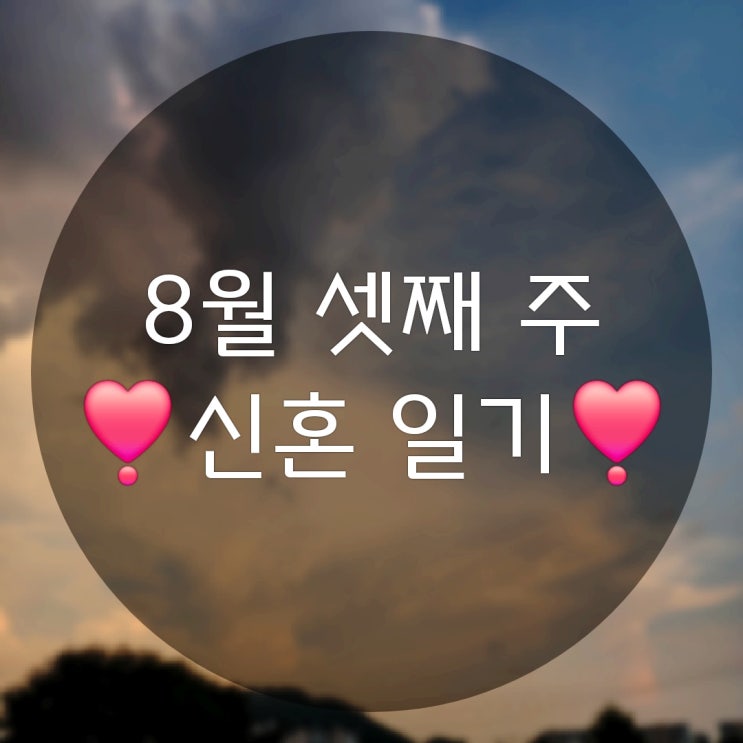  8월 셋째 주의 주간 일상기록(맥도널드 신메뉴 진도대파크림크로켓치킨버거 런치가격)