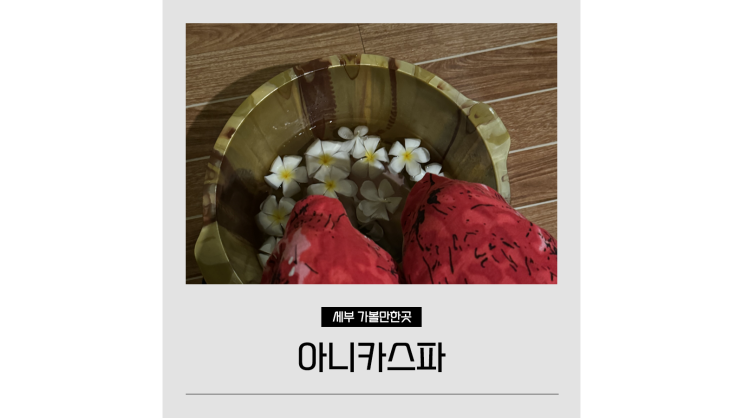 막탄 마사지 아니카스파 세부 픽업 픽드랍 되는 고급마사지샵 예약 세부조아 막탄 마사지 아니카스파 세부 픽업 픽드랍 되는 고급마사지샵 예약 세부조아