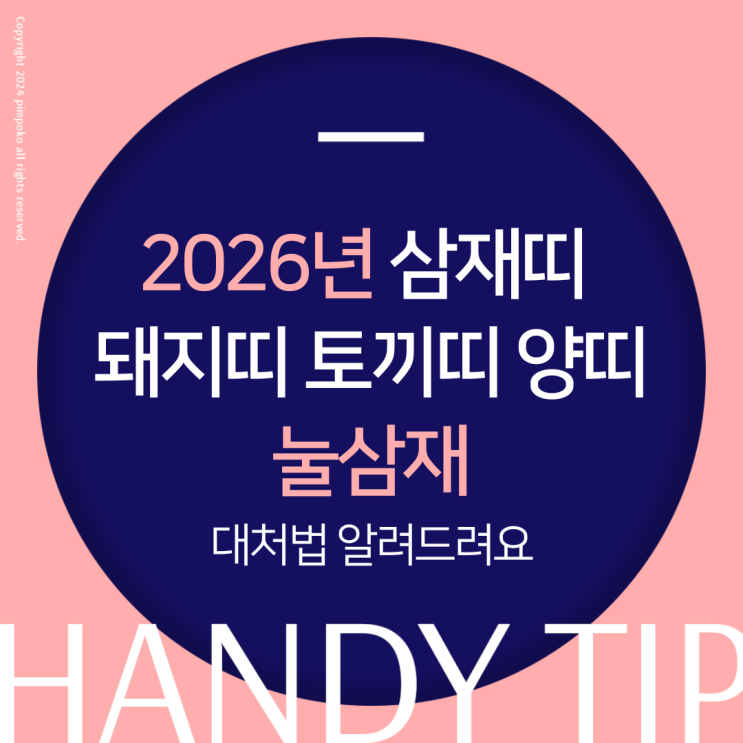  2026년 삼재띠 토끼띠, 양띠, 돼지띠 눌삼재 대처법 이렇게