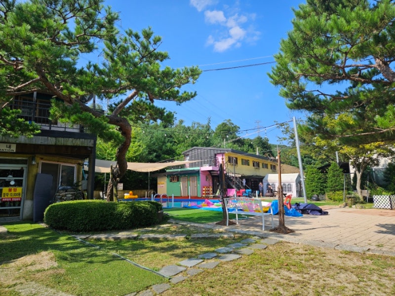 사진 8