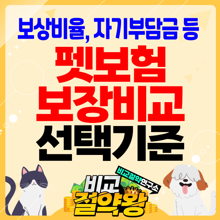  반려동물 펫보험 5개 회사 보장비교 선택기준 알아보기
