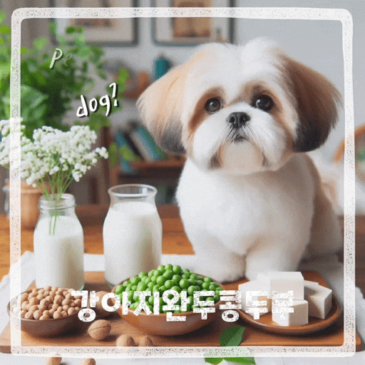  강아지 완두콩 급여 주의점 강아지 두부 급여 두유는?
