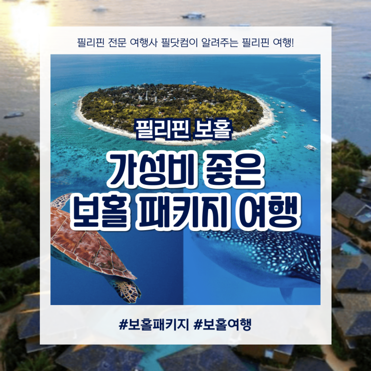  가성비 보홀여행 데이투어 패키지 추천