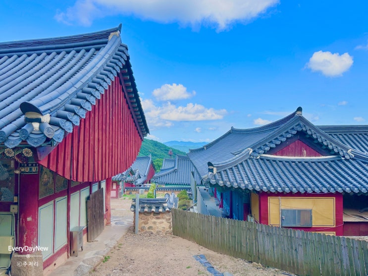  평범한 하루 일상기록 - 마음 비우기 | 부산 범어사