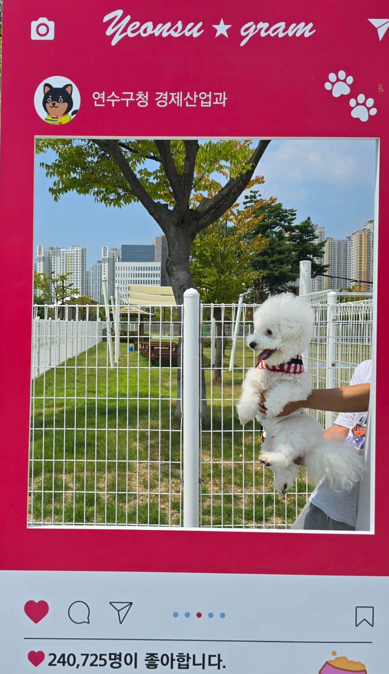 꿈꾸는카페 혜움도그파크점