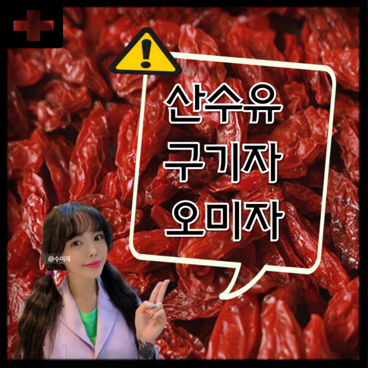  산수유 오미자 구기자의 효능 (산수유차 구기자차 오미자차 효능)