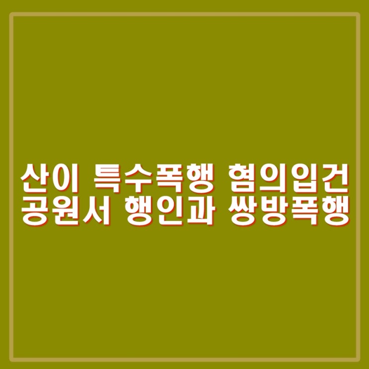 유명 <b>래퍼</b> 산이 <b>특수폭행</b> 혐의 <b>입건</b>. 공원서 행인과 쌍방<b>폭행</b>.
