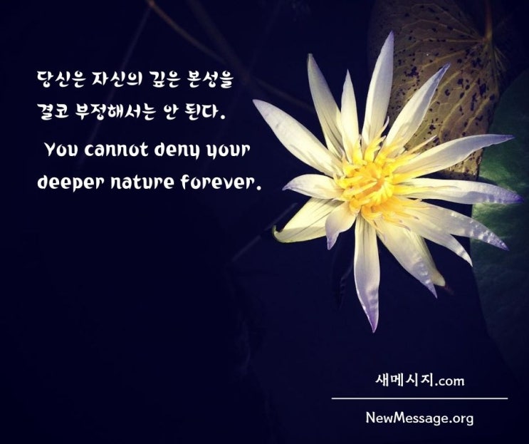 자신의 깊은 본성을 부정하지 마세요 자신의 깊은 본성을 부정하지 마세요