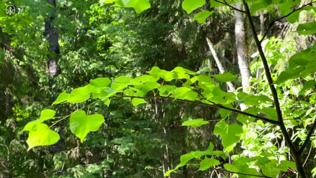  mbti유형별특징 이미지 , 온라인으로 간단히 mbti 학습진로상담지도사 합격 후기