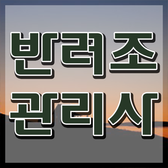  금강앵무새분양 , 반려조관리사 자격증 취득한 방법 최신정보 공유