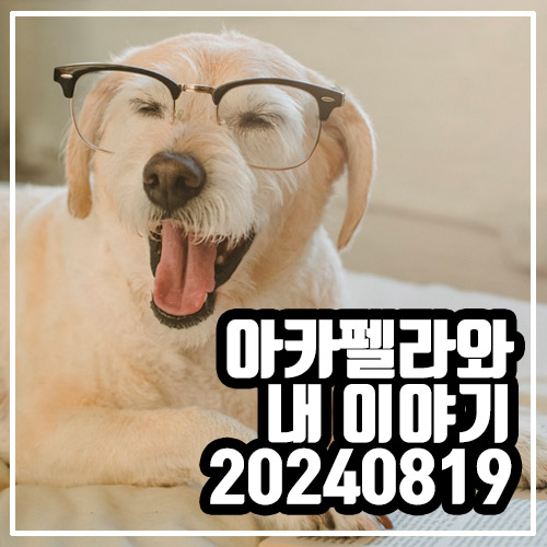  강사는 설명을 넘어 이해시키는 사람