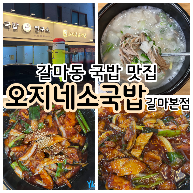[대전 24시 갈마동 짐폴레 스핏 : 혜린이를 위한 운동 루틴을 소개합니다!]